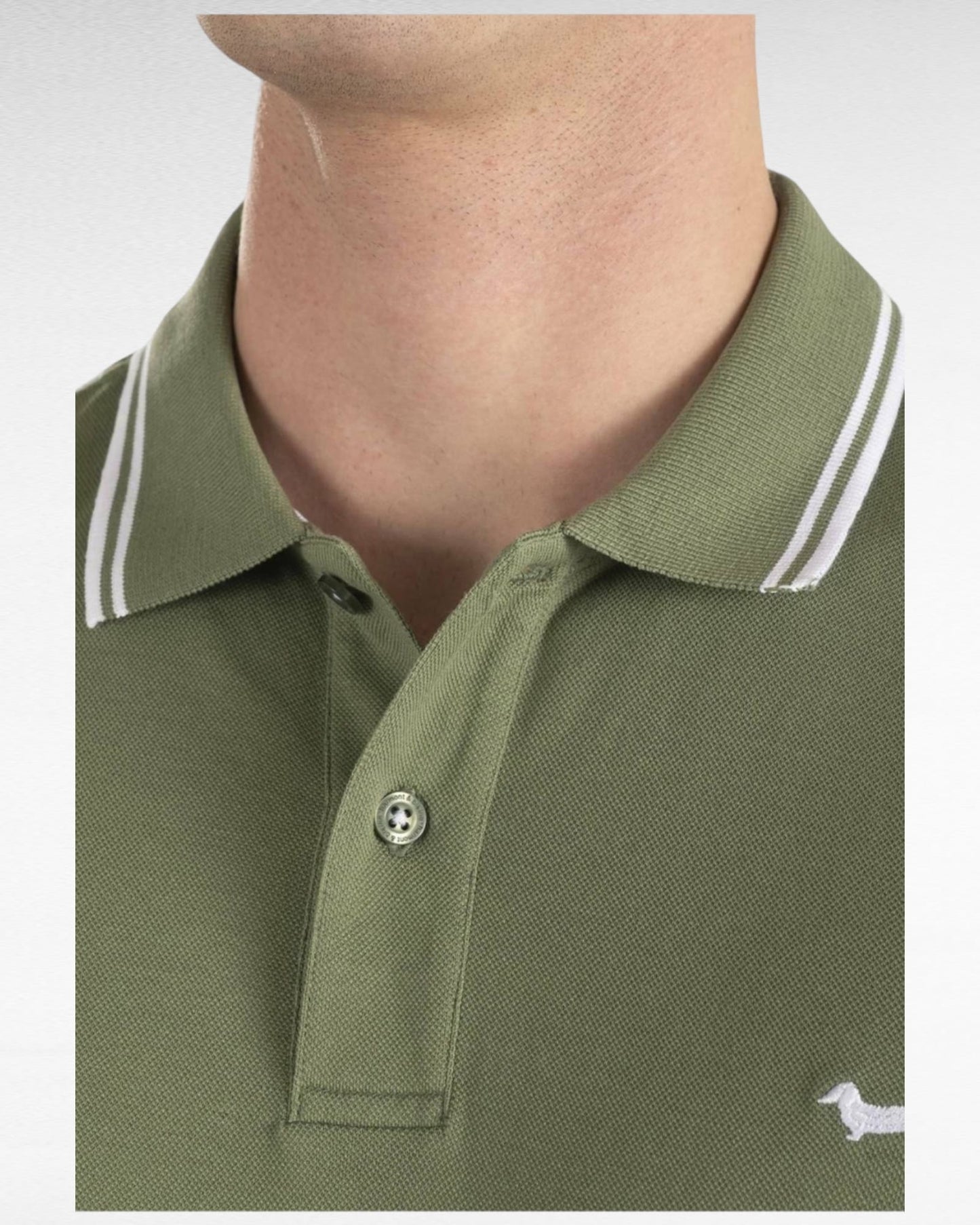 Polo harmont&blaine J010