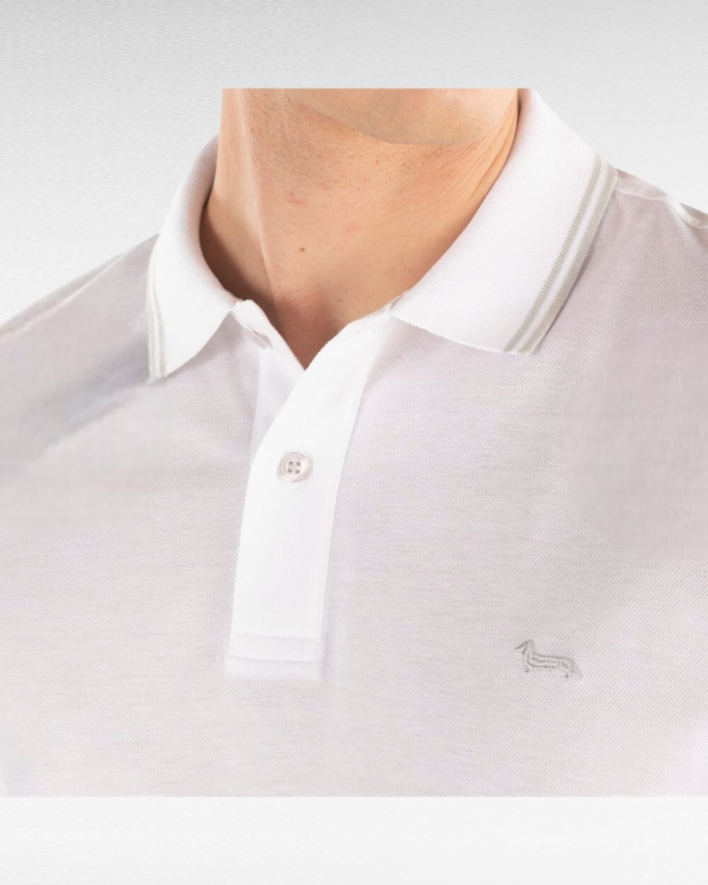 Polo harmont&blaine 1010