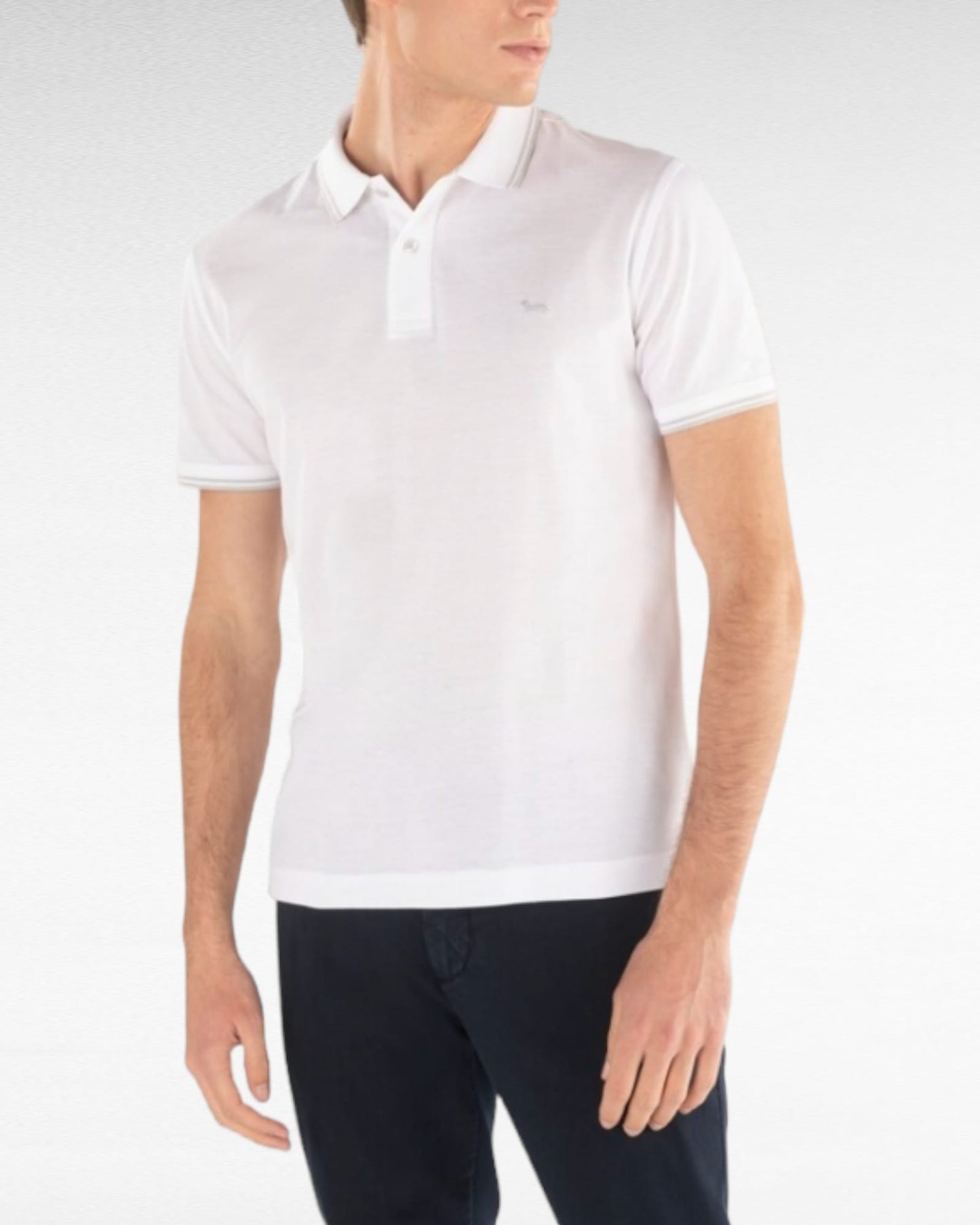 Polo harmont&blaine 1010