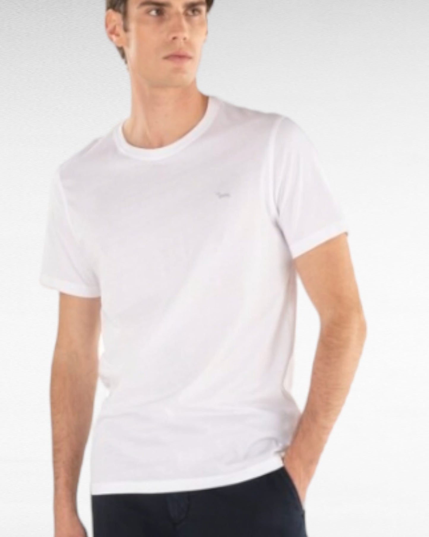 T-Shirt harmont&blaine in cotone tinta unita
