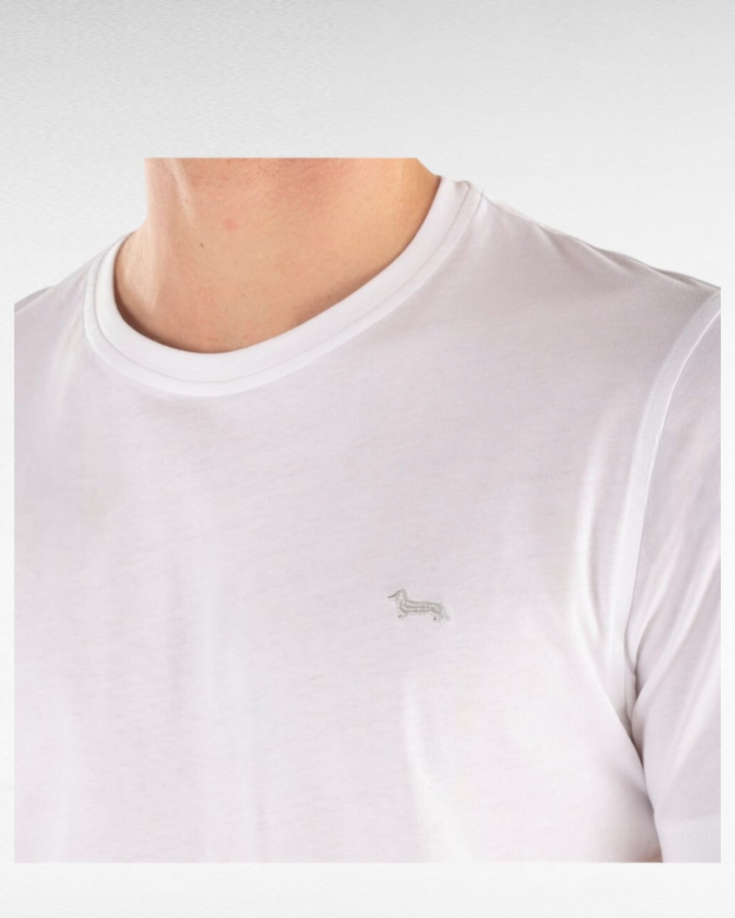 T-Shirt harmont&blaine in cotone tinta unita