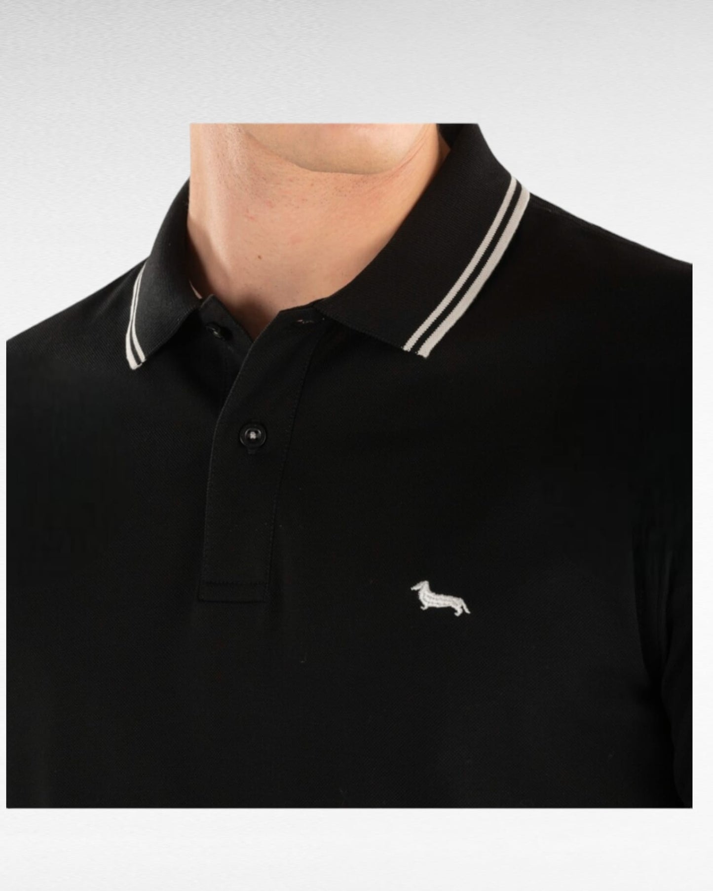 Polo harmont&blaine 1010