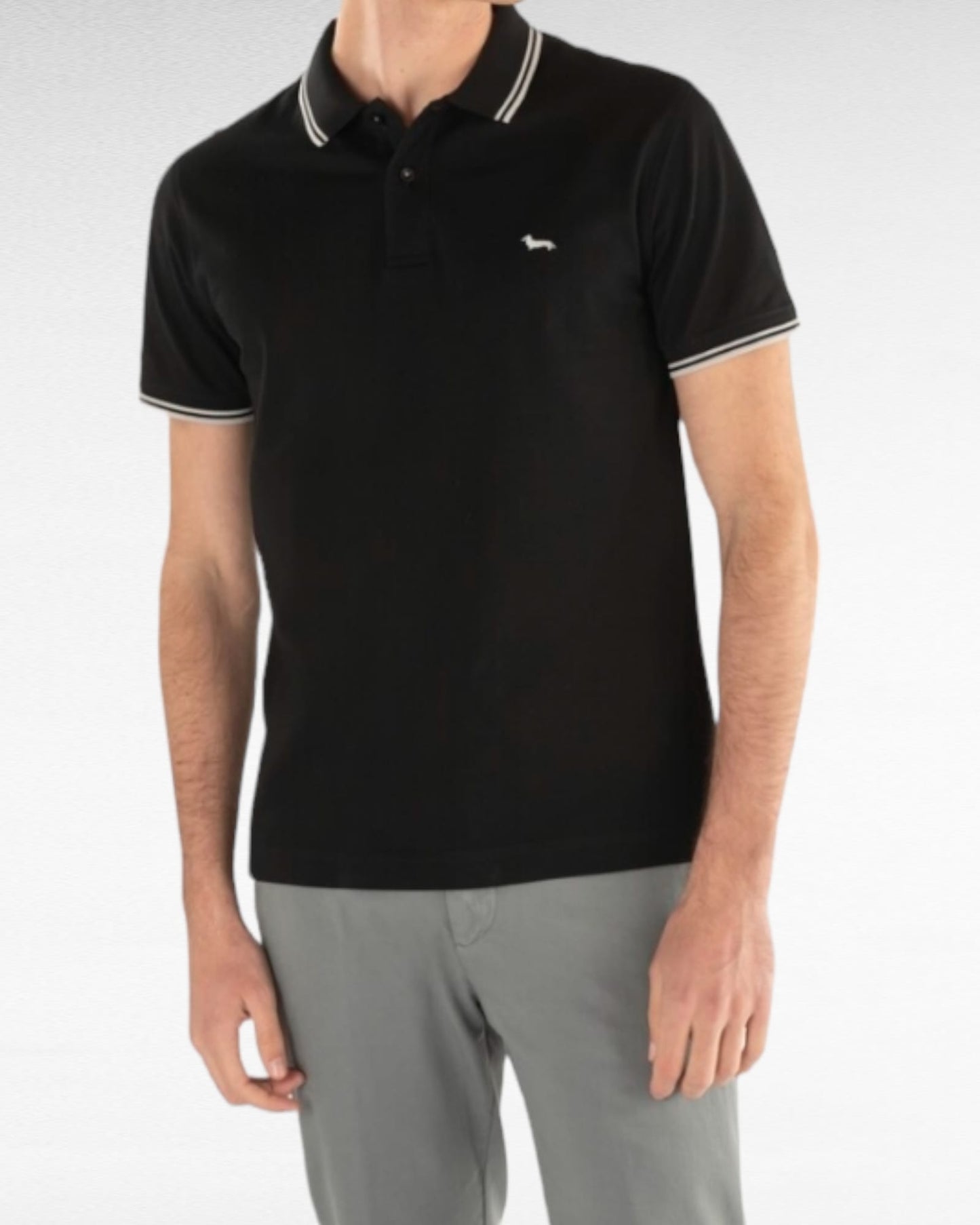 Polo harmont&blaine 1010