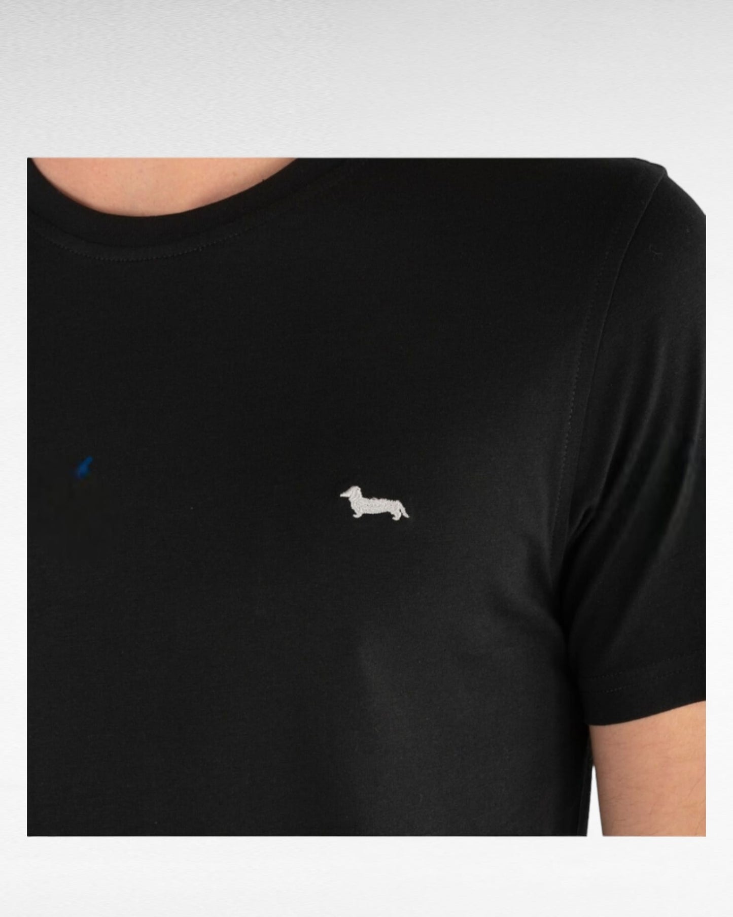 T-Shirt harmont&blaine in cotone tinta unita